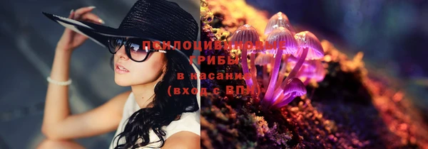 гидропоника Киренск