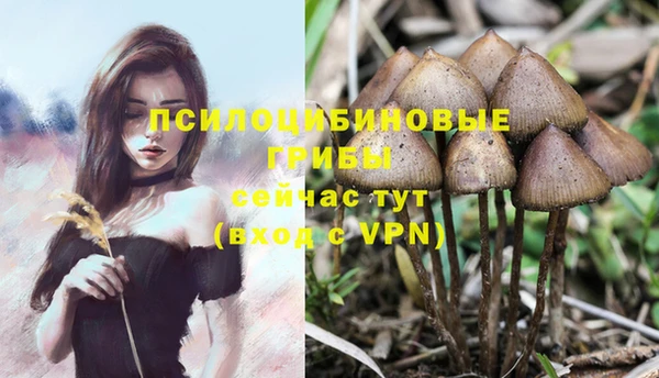 соль ск Кинешма