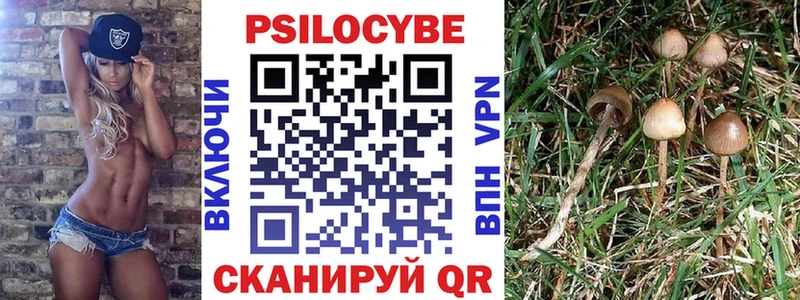 Псилоцибиновые грибы прущие грибы  Купить  Болхов 