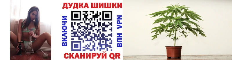 Бошки марихуана тримм  Купить где  Болхов 